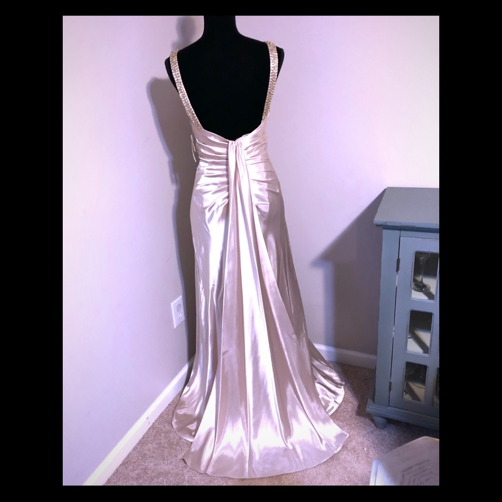 Beautiful Champagne Gown